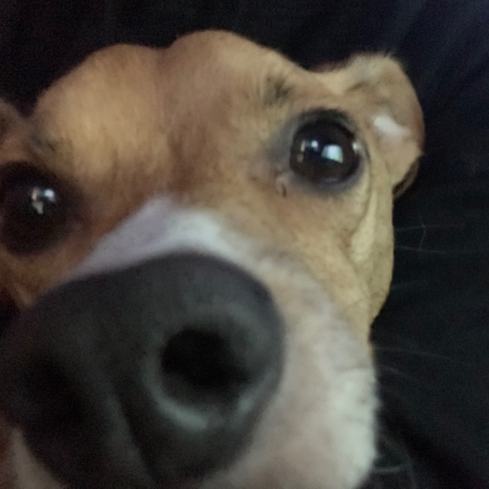 Meet your Posher, Nicholas